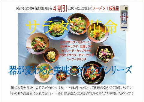 伝統的工芸品萩焼専門窯元・陶房大桂庵樋口窯【サラダ革命】