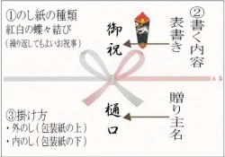 伝統的工芸品萩焼専門窯元・陶房大桂庵樋口窯【のし紙-紅白の蝶々結び】