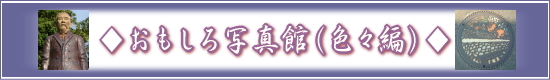 萩焼(伝統的工芸品)専門窯元・陶房大桂庵樋口窯
のご案内-おもしろ写真館(色々編)